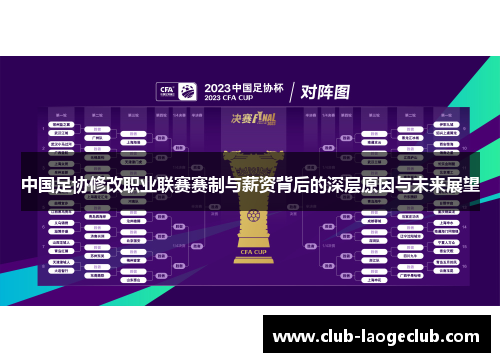 中国足协修改职业联赛赛制与薪资背后的深层原因与未来展望