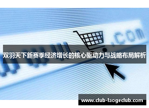 双羽天下新赛季经济增长的核心驱动力与战略布局解析