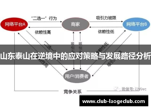 山东泰山在逆境中的应对策略与发展路径分析 山东泰山在逆境中的应对策略与发展路径分析