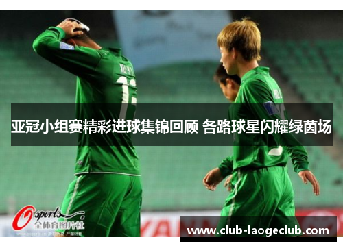 亚冠小组赛精彩进球集锦回顾 各路球星闪耀绿茵场