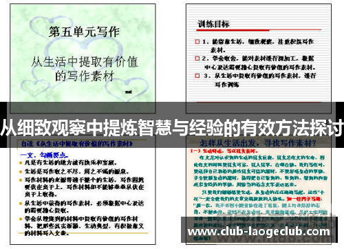 从细致观察中提炼智慧与经验的有效方法探讨