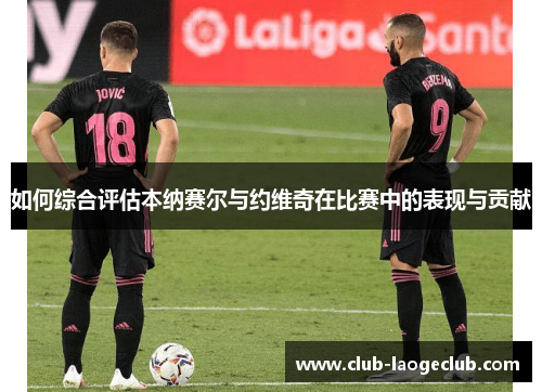 如何综合评估本纳赛尔与约维奇在比赛中的表现与贡献 如何综合评估本纳赛尔与约维奇在比赛中的表现与贡献