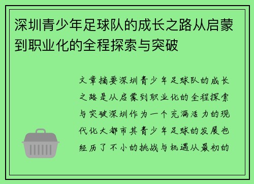深圳青少年足球队的成长之路从启蒙到职业化的全程探索与突破