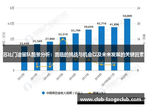 苏比门迪留队前景分析：面临的挑战与机会以及未来发展的关键因素